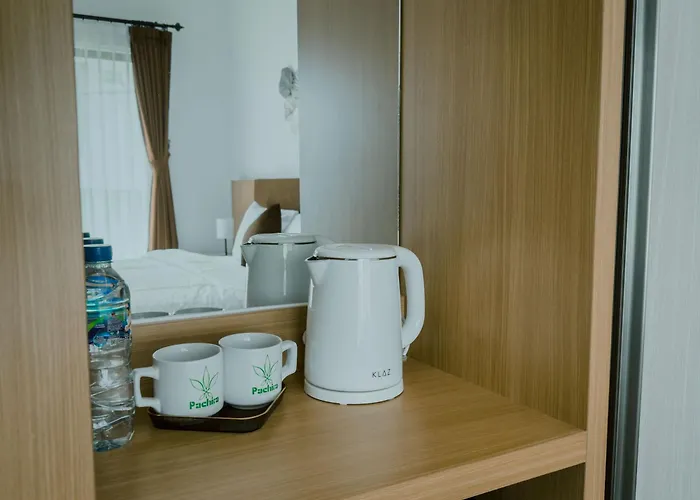 Guest house Pachira Living Legian (Bali)